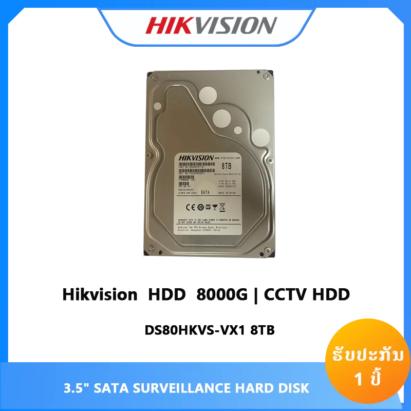 DS80HKAI-VX1 8T